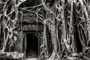 Cambodia. Angkor Wat