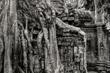 Fototapeta na wymiar Cambodia. Angkor Wat