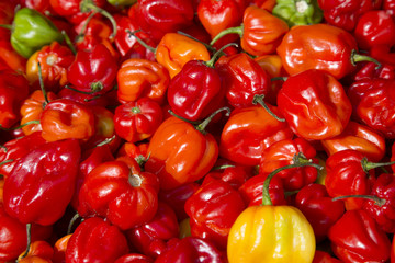 Red Pepper Background