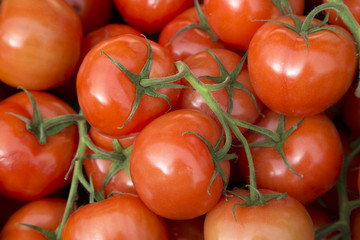Red Tomato Background