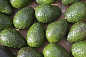 Avocado Background on Market Stall