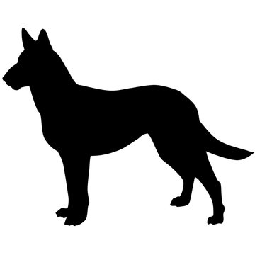 Silhouette of a dog.Vector illustration of German shepherd. Bloodhound