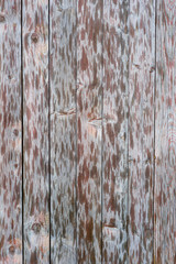 wooden texture © jloginova