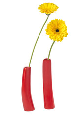 two stems of yellow daisy on a red vase