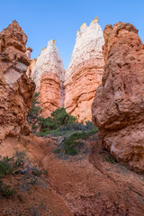 Fototapeta premium Bryce Canyon National Park, Utah, USA