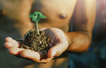 Seedlings in the hands of agriculture