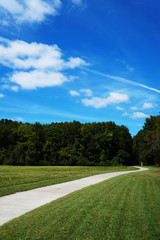 Fototapeta na wymiar A path in a grassy area with trees and blue cloudy Sky