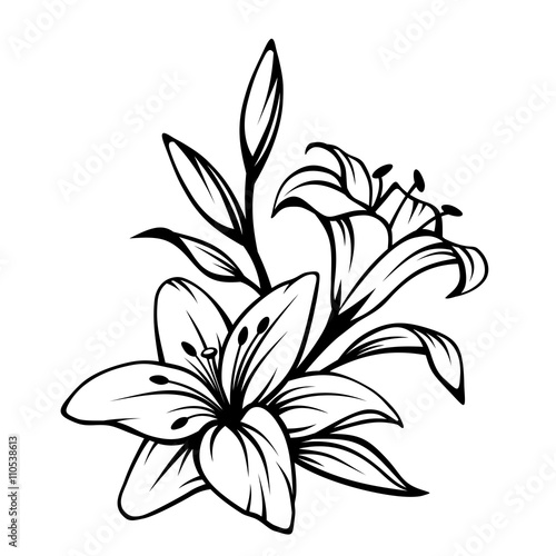 quot vector black contour of lily flowers isolated on a white quot vector black contour of lily flowers isolated on a white