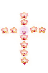 a cross of orchid flowers