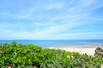 沖縄の美しい海と青空