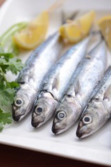 Fresh sardines with parsley and lemon slices