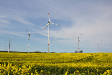 Windräder im Rapsfeld, erneuerbare Energie