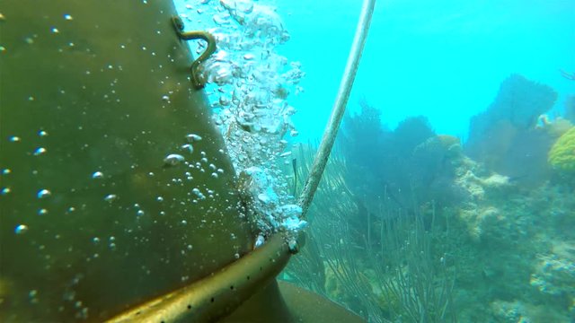 Stream of air bubbles from the helmet at the Bermuda Helmet Diving tour.