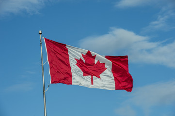 waving Canadian flag