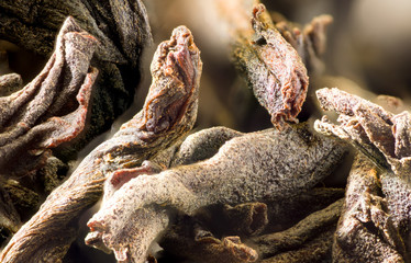 large tea leaves