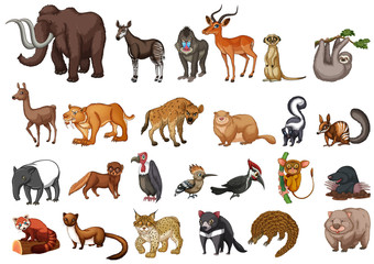 Obraz premium Different type of wild animals on white