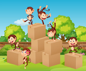 Monkeys climbing up the boxes