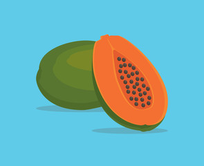 papaya single isolated object with vector graphic illustration