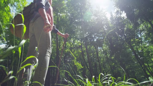  Young woman hiking in the woods alone, stops to look at the sun shining through the trees. 