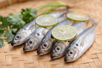 fresh sardine fish in the bamboo basket