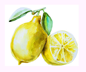 watercolor hand drawn lemon