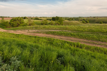 Green hilly meadow with single trees and the blue cloudy sky