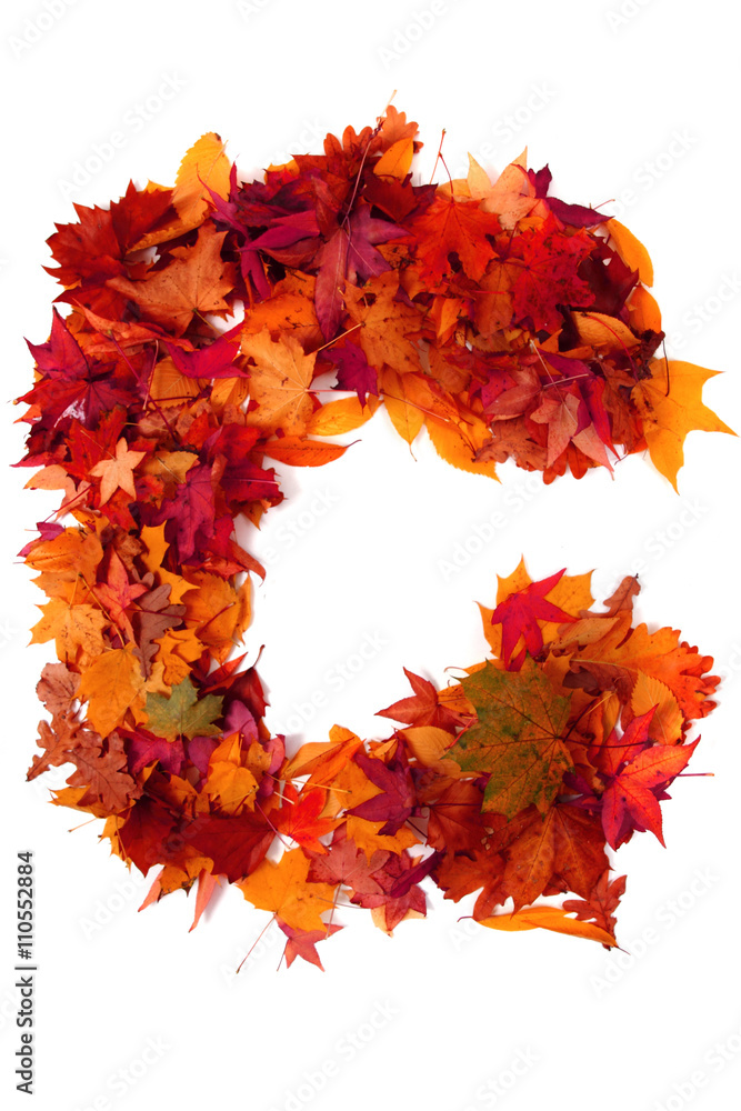 Wall mural alphabet sign from autumn leaf