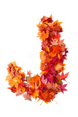 Naklejka na ściany i meble alphabet sign from autumn leaf