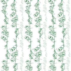 Seamless vector pattern wild flower meadow hand drawn vector ink sketch isolated on white, Vintage elegant style, The thin smooth lines, Template for wallpaper, textiles, package design, cosmetics