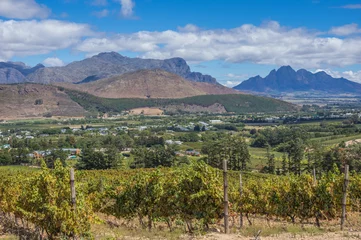 Deurstickers De regio Kaapse Wijnlanden is het belangrijkste wijnproducerende gebied van Zuid-Afrika © sean heatley