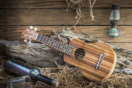 srill life photography with ukulele in vintage ranch barn studio background