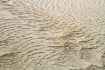 The beach sand