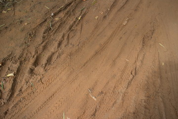 Ground level view horizontal MCU jungle road after drying in the sun a bit