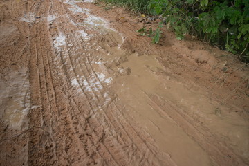 Horizontal Medium shot, muddy jungle road with significant vegetation visible at the corner.