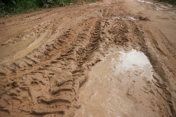 Wider ground level view horizontal MCU muddy jungle road with muddy tire track and side vegetation