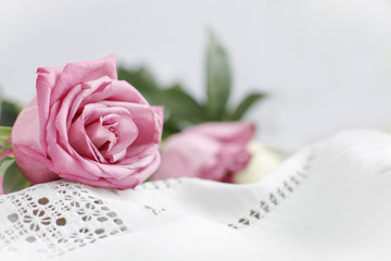 rose on a white tablecloth with embroidery