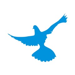 девушка и голубь