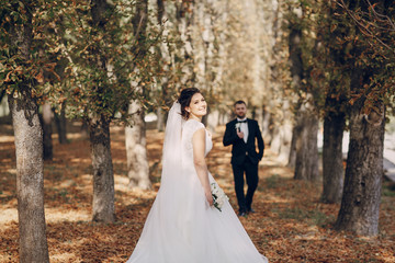 wedding day HD