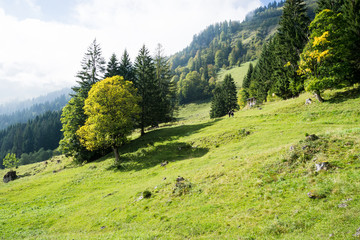 Hiking trail at Soellereck/ Oberstdorf