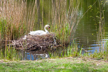 Nature at Castle Charlottenburg in Berlin © fuchsphotography