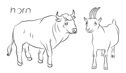 black and white image of a bull and goat