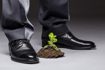 Businessman standing near the young sprout