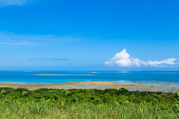 沖縄の綺麗な空と海