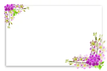 Foto op Canvas Beautiful orchid flower frame on white with blank place for text © panya99