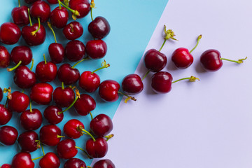 group of cherries on pastel color trendy background
