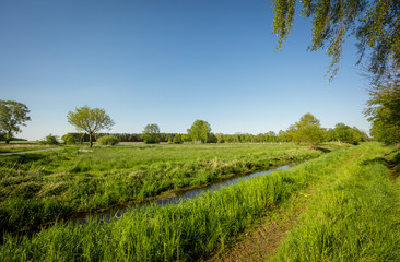 Sumpflandschaft im Naturpark Steinhuder Meer