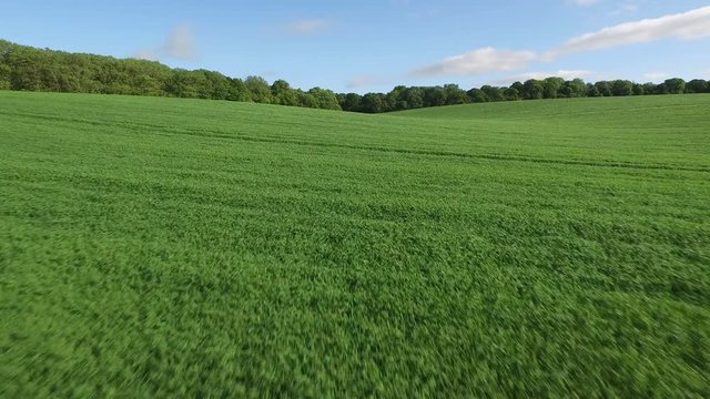  Aerial flight above forest & fields in the English countryside