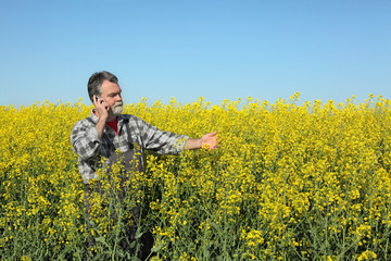 Farmer or agronomist in blossoming rapeseed field
using mobile phone