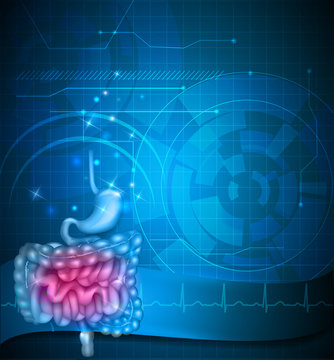Gastrointestinal tract blue background. Stomach, small intestine and colon. Beautiful bright illustration.