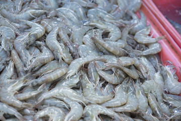 Fresh shrimp, marke